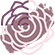 quarter rose